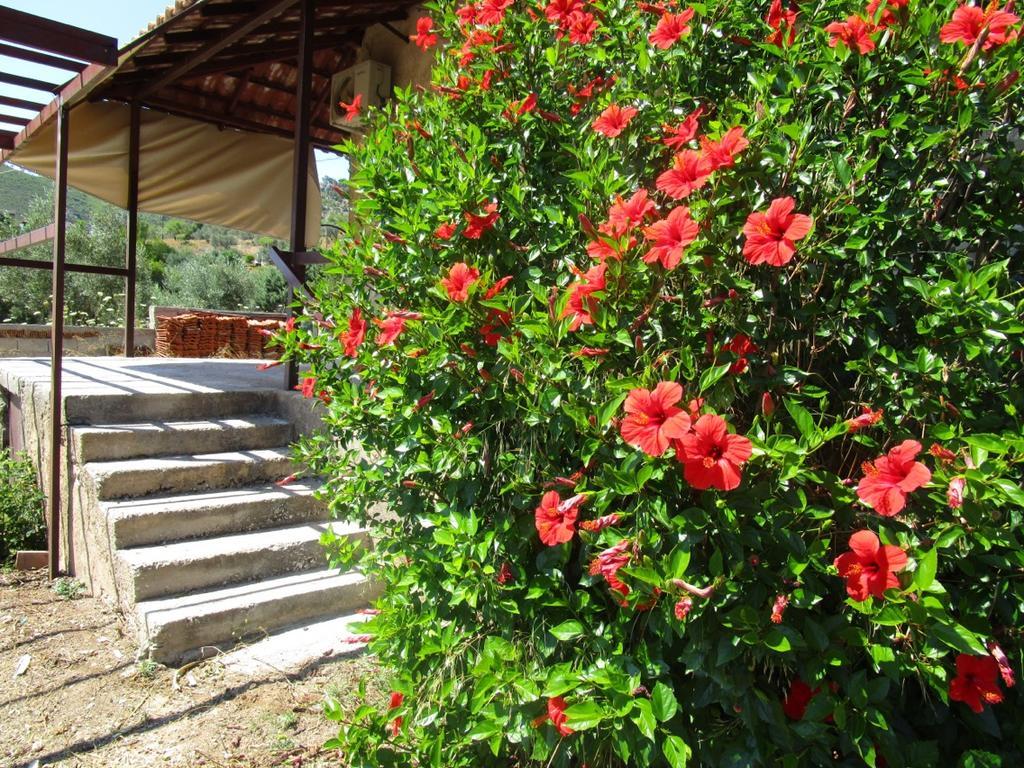 Countryside House Guest House Perachora ภายนอก รูปภาพ